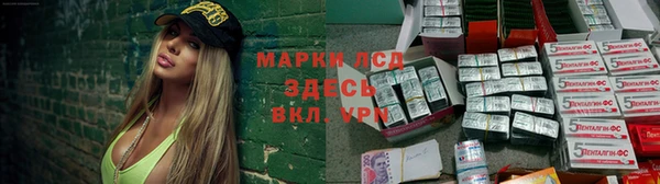 прущий лед Алзамай