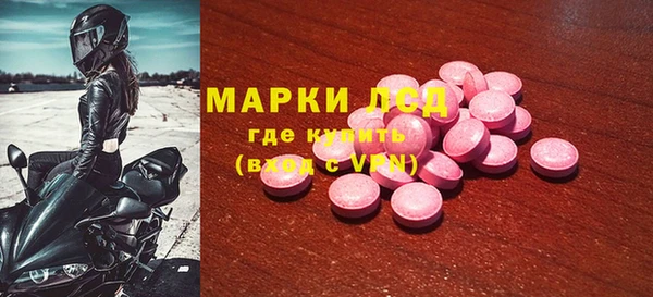 прущий лед Алзамай