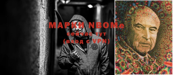 прущий лед Алзамай