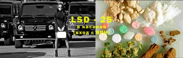 прущий лед Алзамай