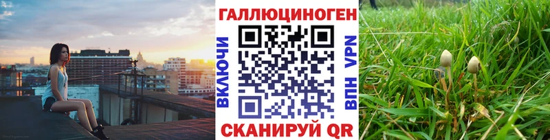 Галлюциногенные грибы прущие грибы  продажа наркотиков  Кораблино 